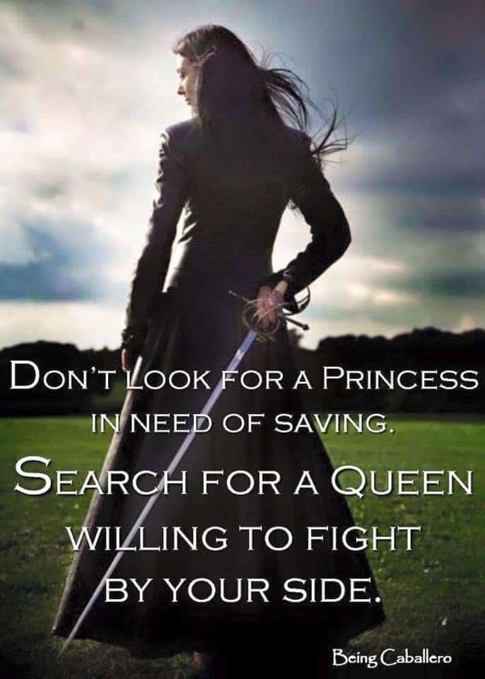 Princess warrior image