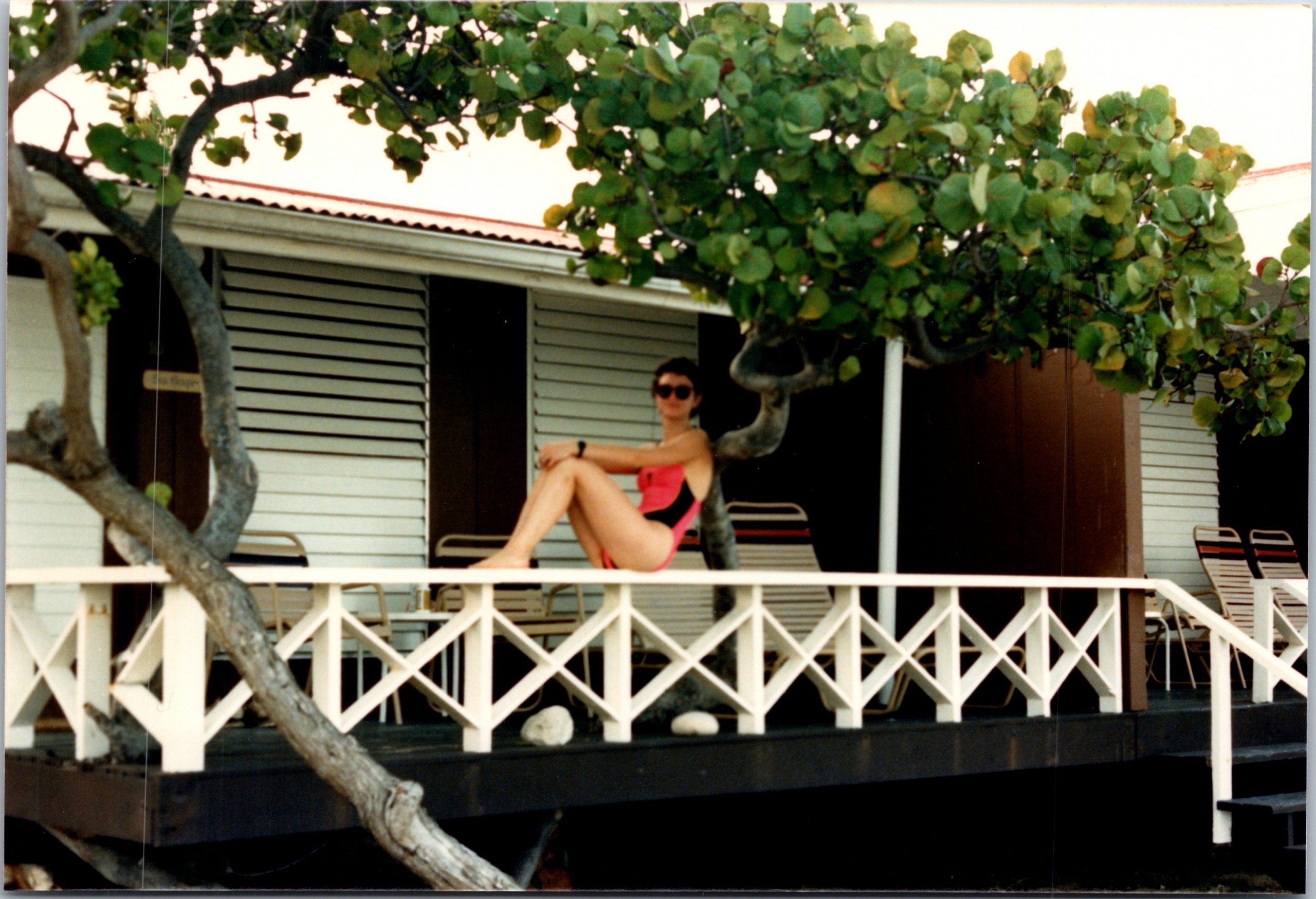 Unforeseen Gems on Moskito Island: A Story of Unexpected Blessings