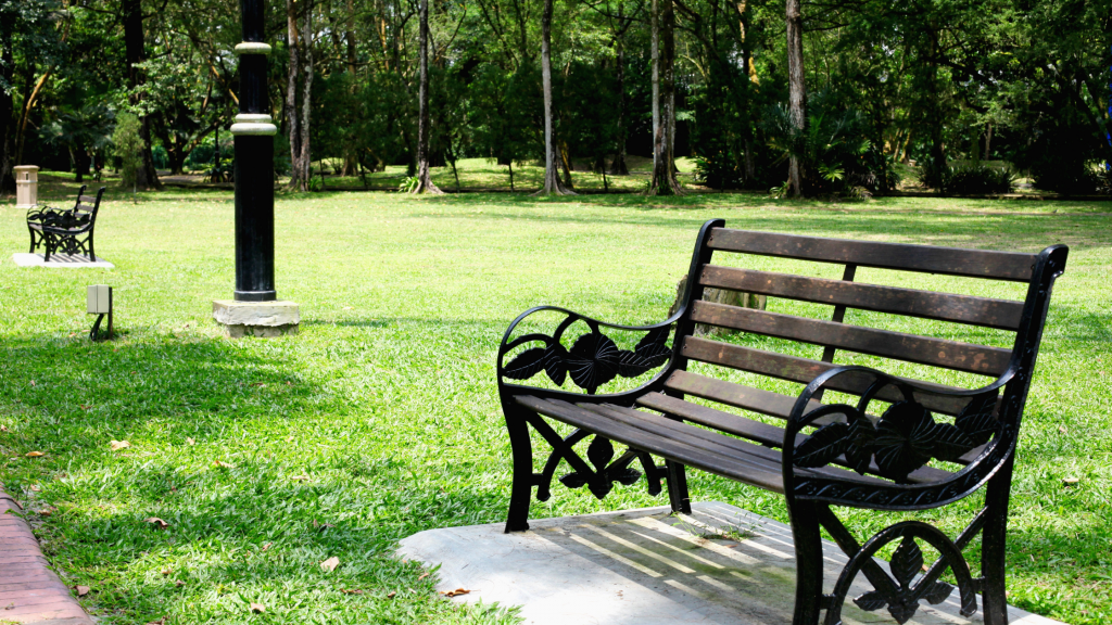 empty park bench