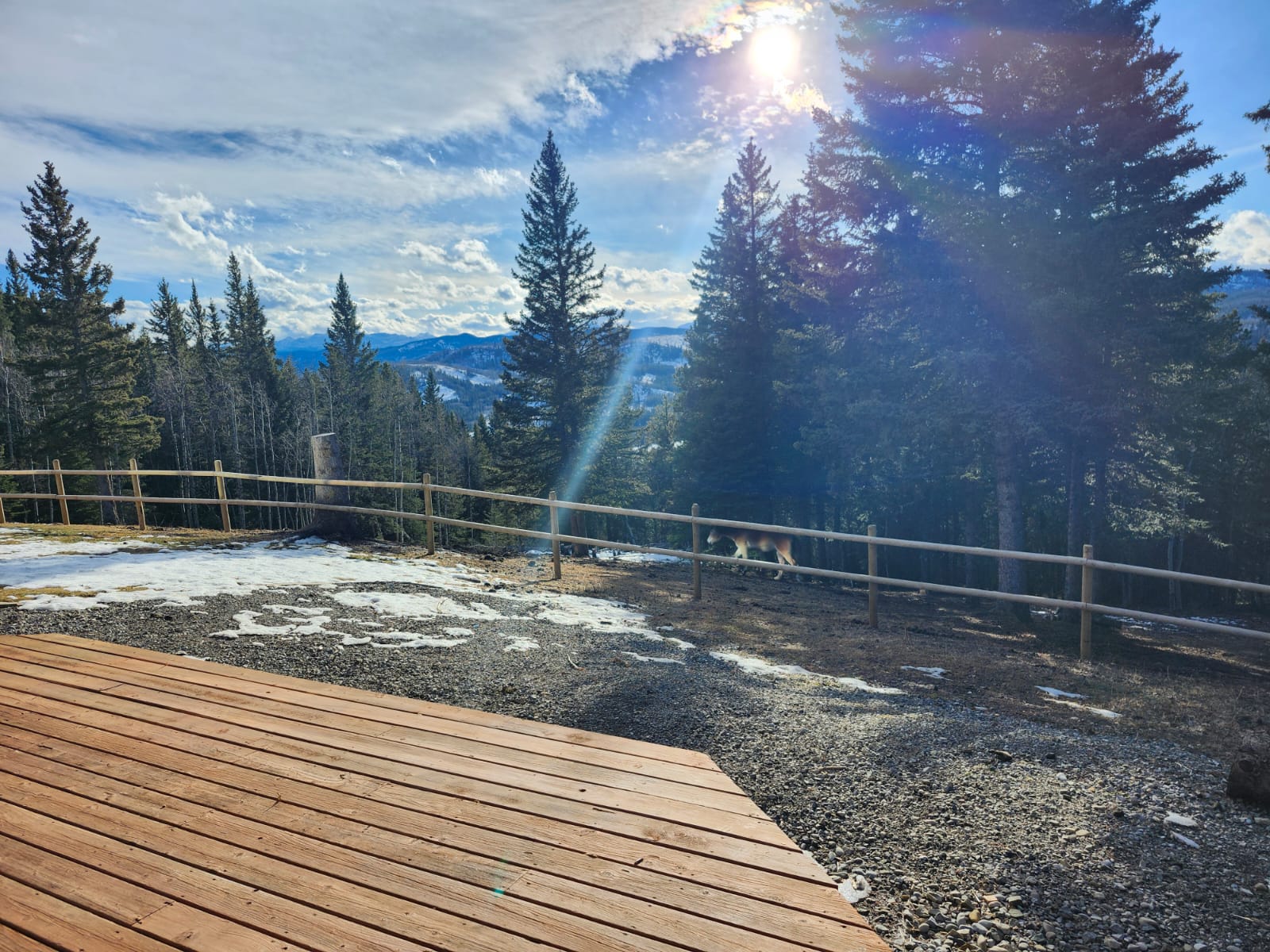 A Weekend Escape to BlueRock Ranch: Writing, Relaxation, and Nature