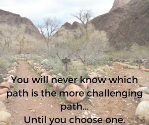 Choose a path